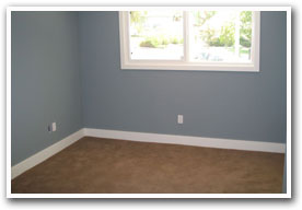 Carpet Floor Installation
