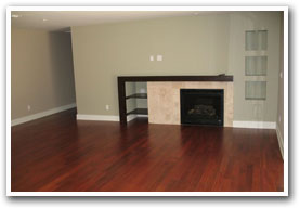 Fireplace and Chimney