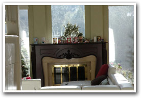 Fireplace Remodel