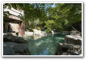 Luxury pool Picture Gallery