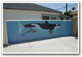 Wall Murals