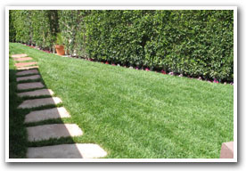 Pathways - Hardscape - Gallery