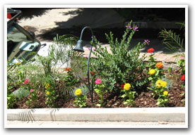 Planters - Picture Gallery