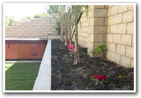 Landscpe Picture Gallery