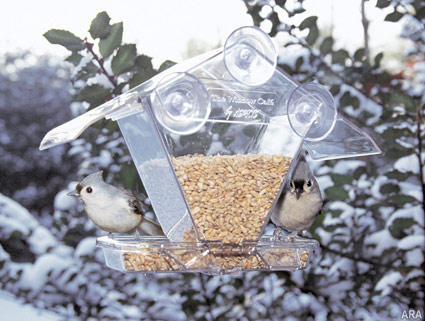 Bird Feeder Bird Feeder