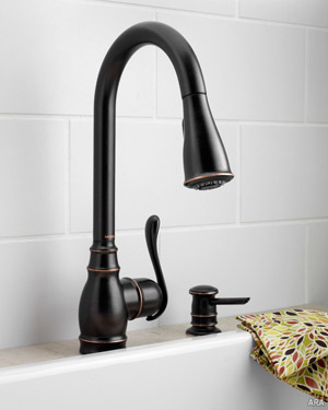 Eco Friendly sink faucet from Moen
