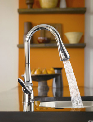 Kitchen Trends 2010 Make a statement at the sink with the new ArboR pulldown kitchen faucet from Moen; it’s perfect for 2010 and beyond.
