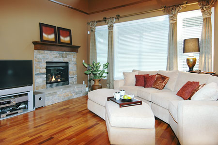 Living room decor