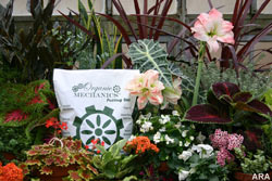 Support sustainable practices with Organic Mechanics potting soil