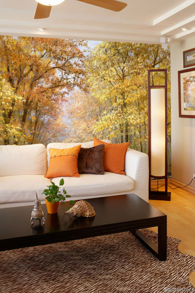 Fall Wallpaper on Fall Trees Wallpaper For Your Living Room